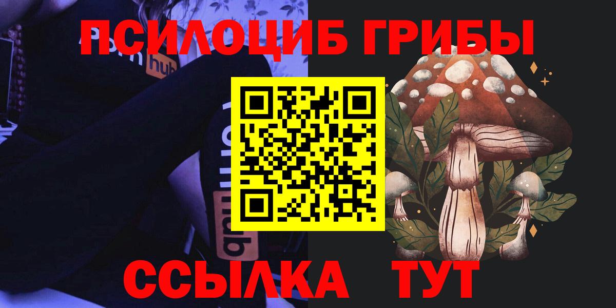 Псилоцибиновые грибы мицелий Дзержинск